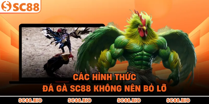 Các hình thức đá gà SC88 không nên bỏ lỡ