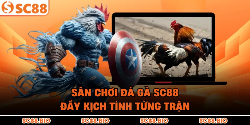 Sân chơi đá gà SC88 đầy kịch tính từng trận